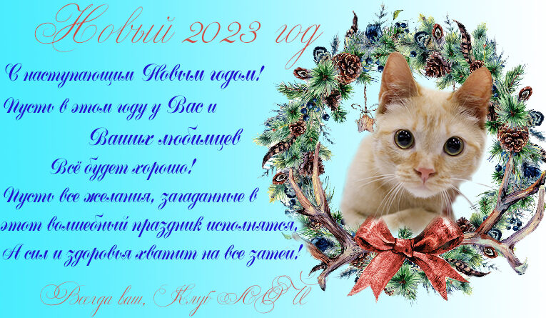 С наступающим новым 2023 годом!