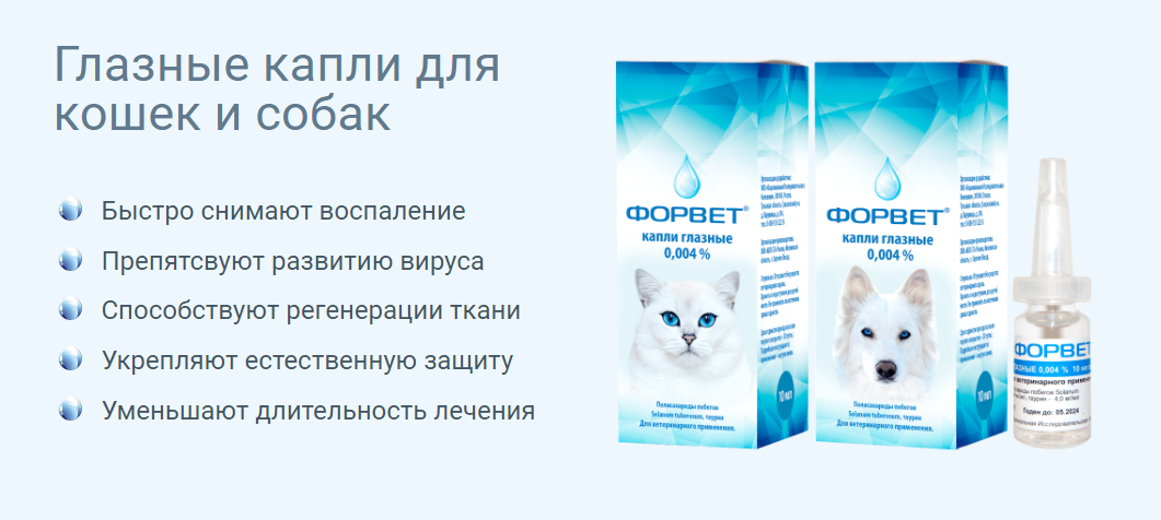 Форвет для собак инструкция. Форвет капли глазные для собак. Капли форвет для котят. Форвет для собак инструкция по применению