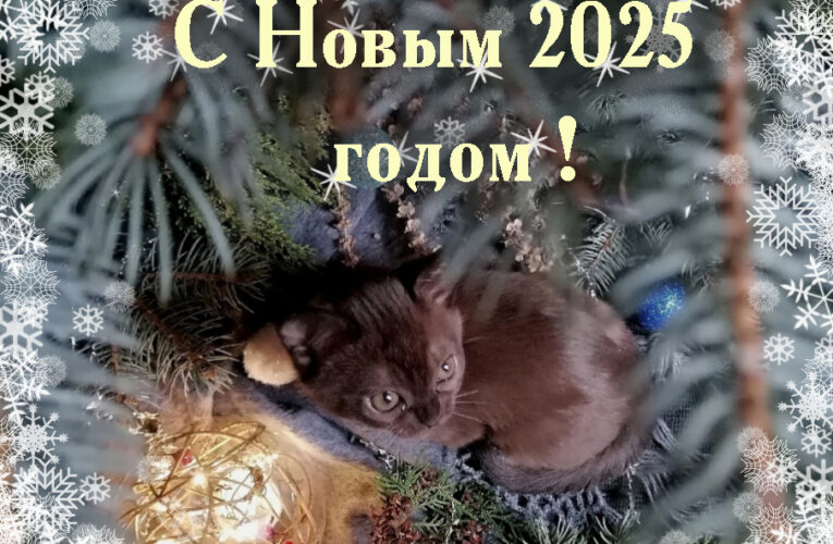 С Новым Годом!